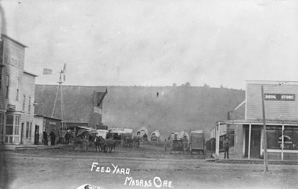 Madras, Feed Yard