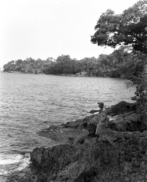 Looking Out to Sea 3