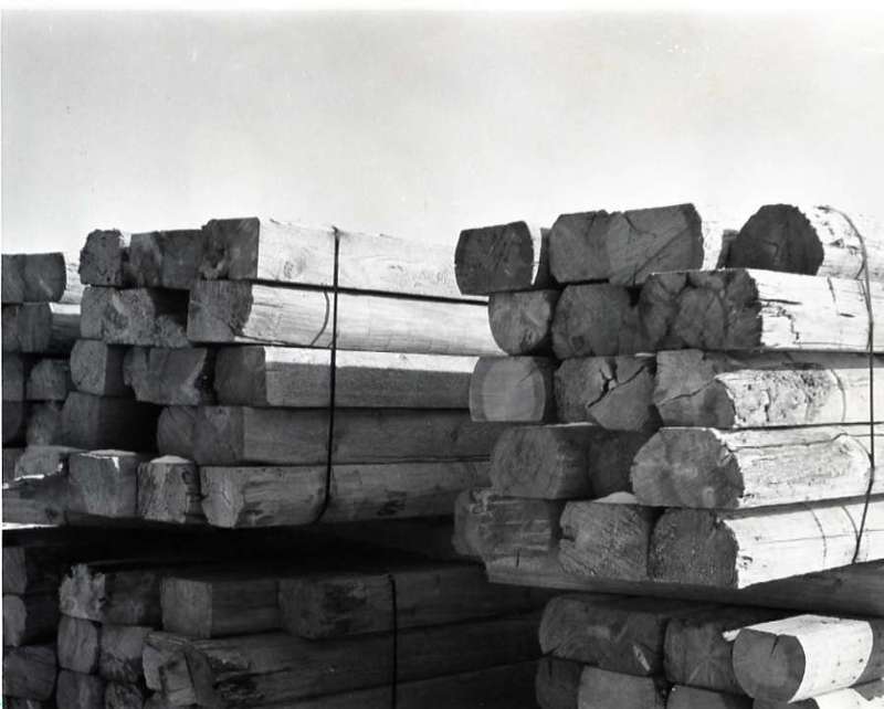 1980 Log Plant 18