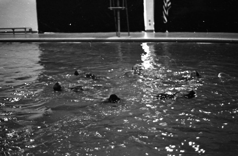 1982 Swimming, Synchronized 05