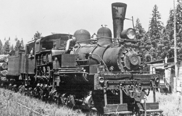 Logging Train 5