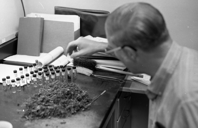 1981 Employee, Doug Campbell 01