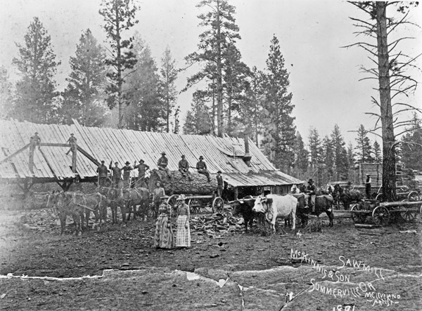 Summerville, McKinnis & Son Sawmill
