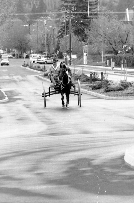 1988 Employee, Jack Johnson Carriage Ride 02