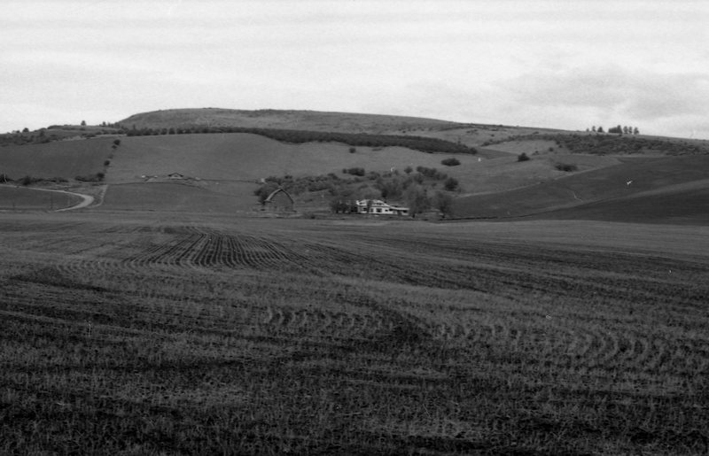 1980 Agriculture Study 12