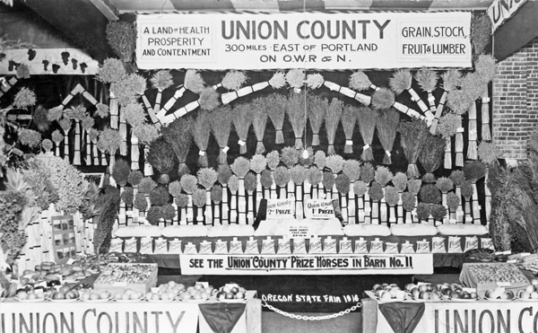 Union County Fair Exhibit 2
