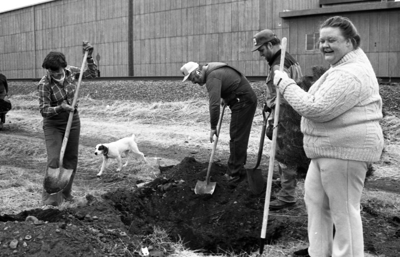 1985 Soroptimist Tree Plantings 13