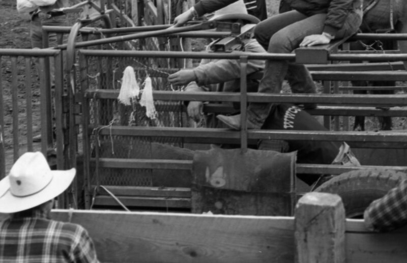 1986 Springfest, Rodeo Cowboys 15