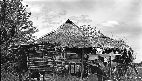 Leyte Local Houses 4
