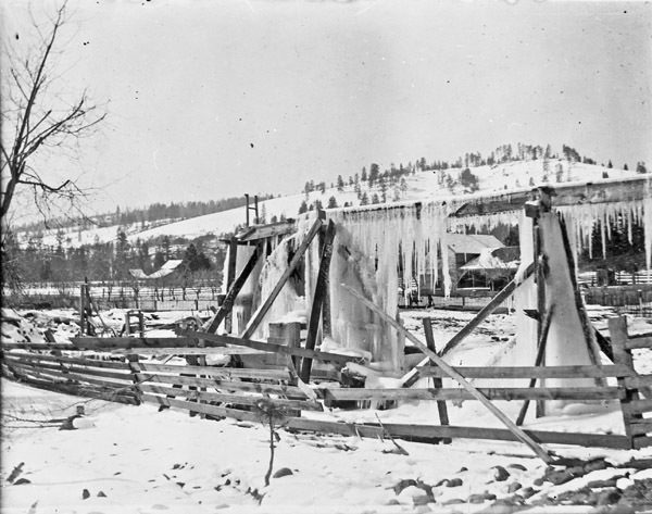 Elgin Farm, Winter