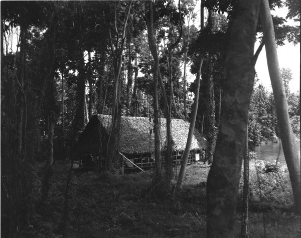 Dobodura Hut Sleeping Quarters 3