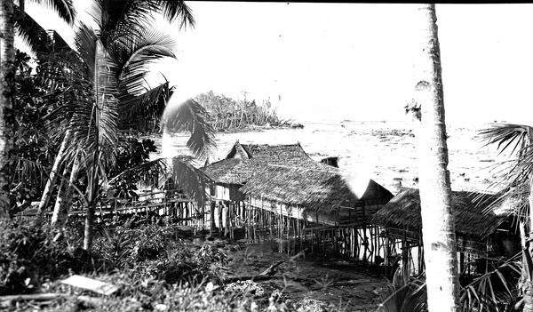 Biak Native Homes 1