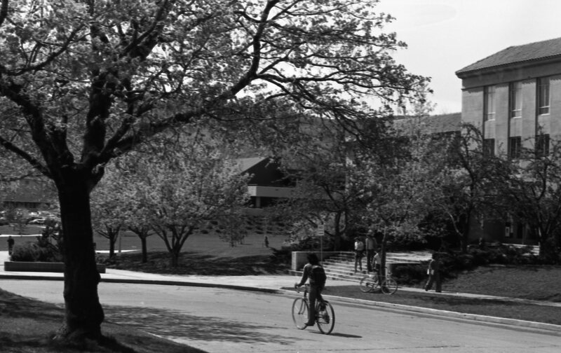 1978 Campus in Autumn 02