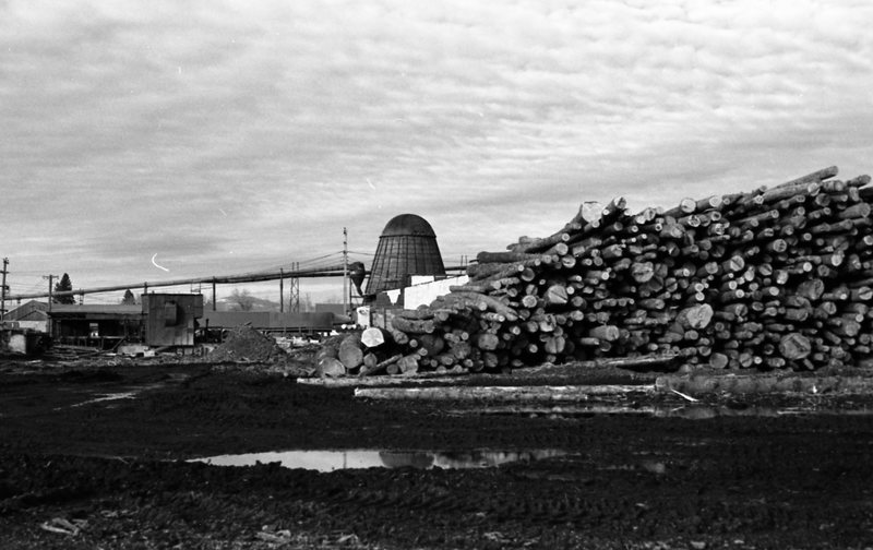 1978 Elgin Logging Operation 2