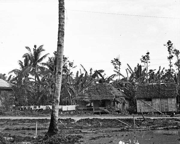 Leyte Local Houses 1