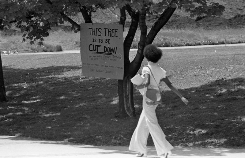 1974 Campus, Save a Tree 01