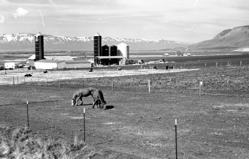 1978 Agriculture, Farm Equipment 11