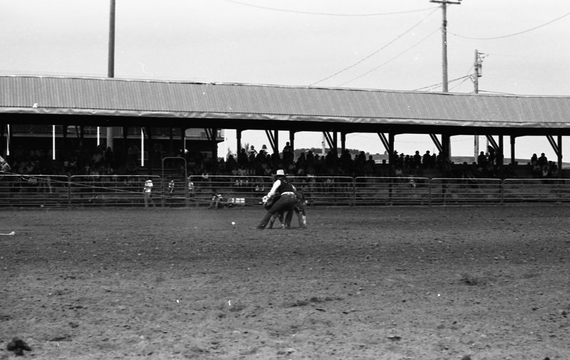 1981 Rodeo, Calf Roping 07