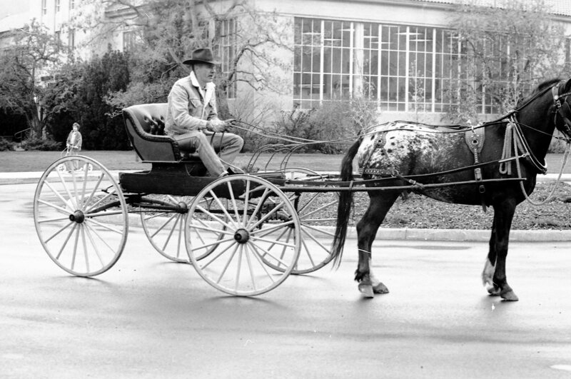 1988 Employee, Jack Johnson Carriage Ride 13