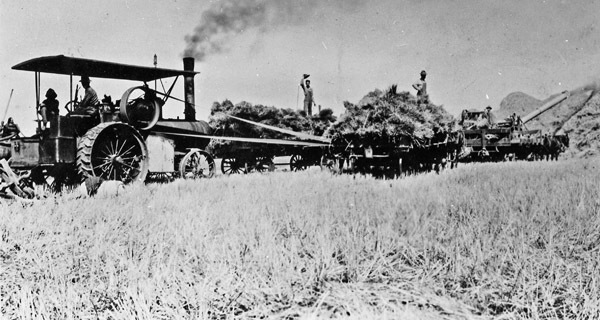 Farm, Threshing Rig