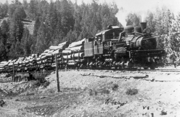 Logging Train 6