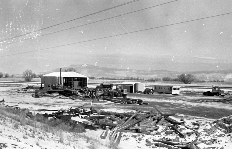 1980 Log Plant 05
