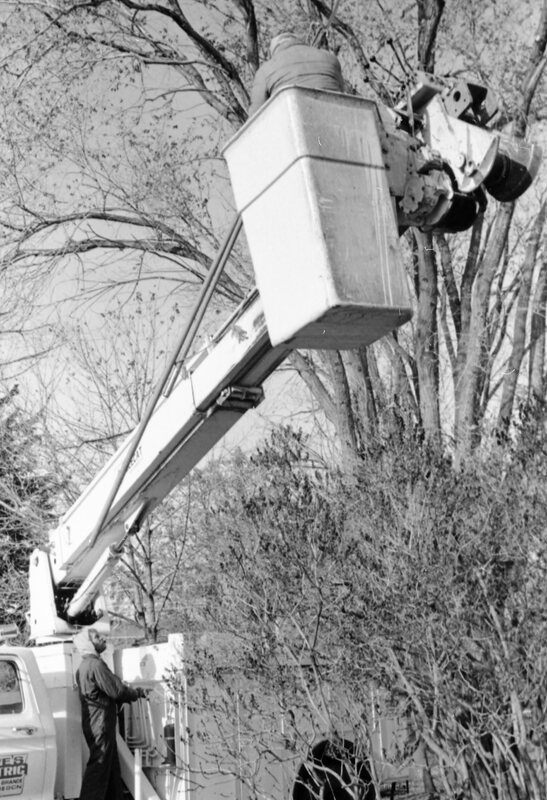1988 Employee, Tree Trimming 11
