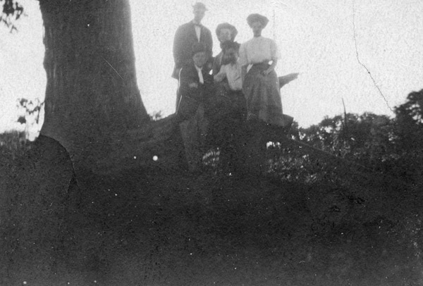 Reuter Group-W, Tree