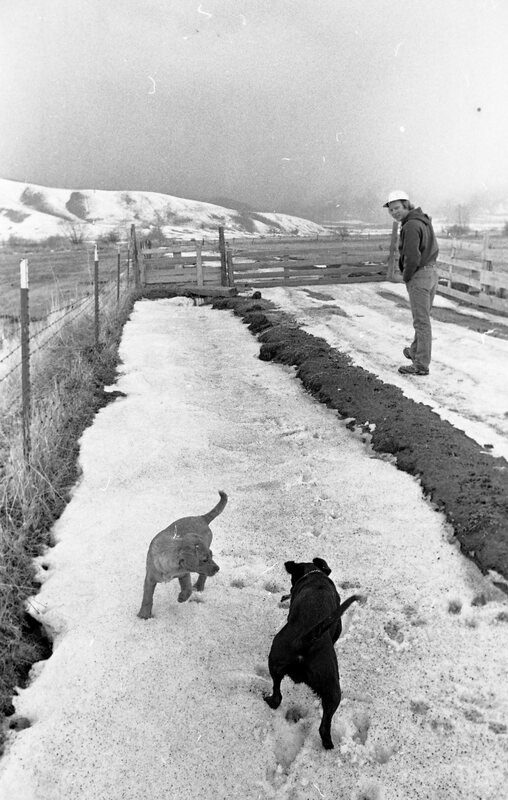 1974 Livestock Ranch 04