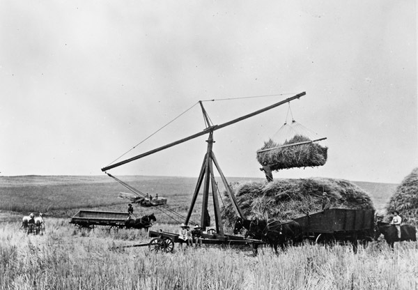 Farm, Straw Stacking