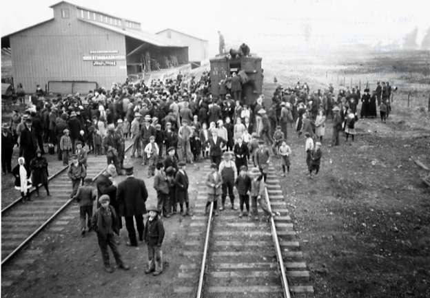 1912 Wallowa, Elk Cargo