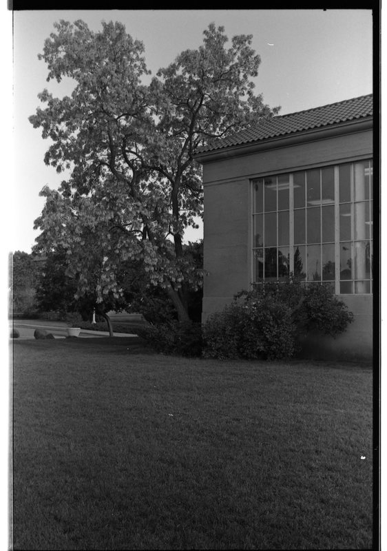 1989 Pierce Library Windows