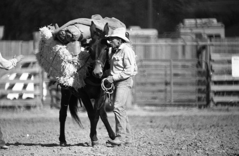 1981 Mule Rodeo, Pack Mule 01