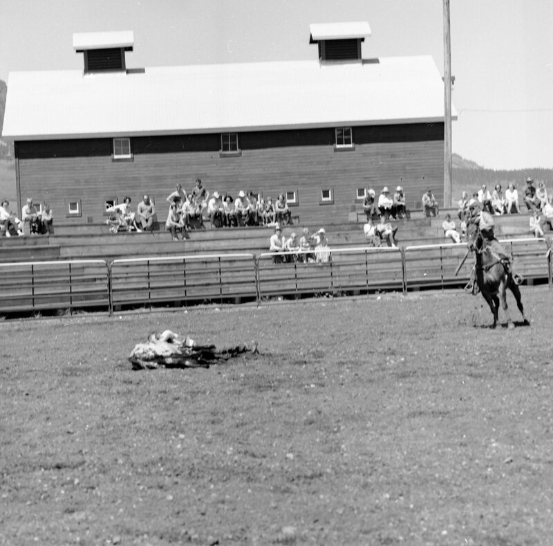 1970 Rodeo, Bulldogging 03