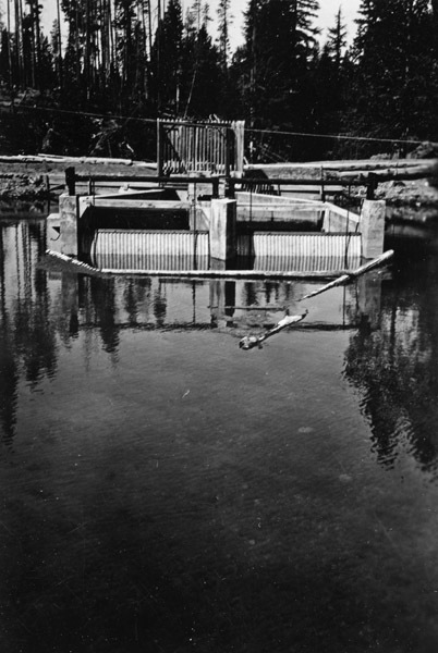 Oregon, Fish Dam