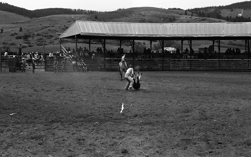 1981 Rodeo, Calf Roping 03