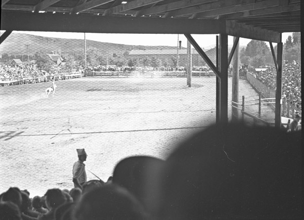 Baker, Mining Jubilee 8