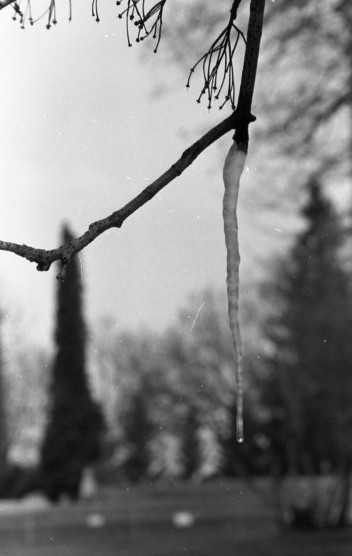 1985 Icicle 01