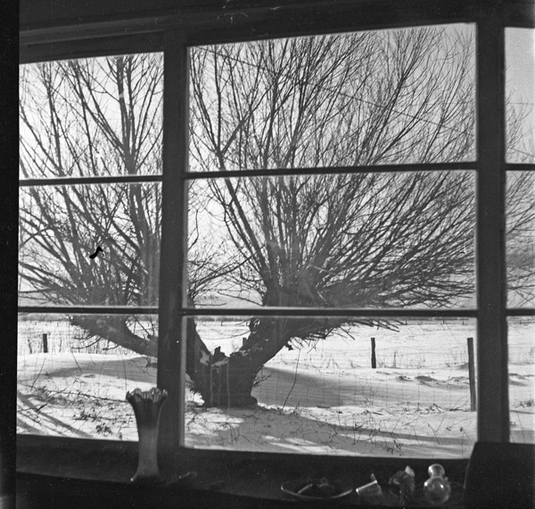 La Grande Home, Hill 6