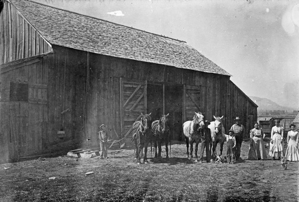 Farm, Family & Horses