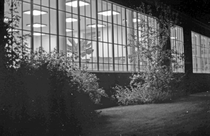 1976 Pierce Library Windows