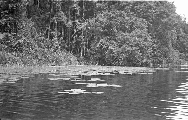 Big Emby Lake 6