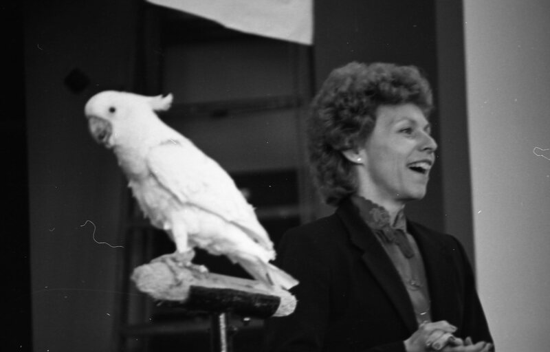 1985 Ackerman Elementary School, Safari 18