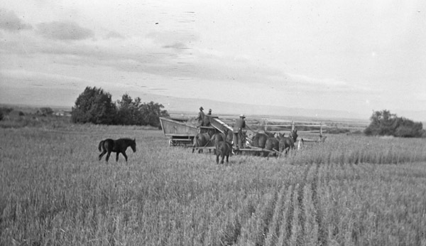 Farming 2
