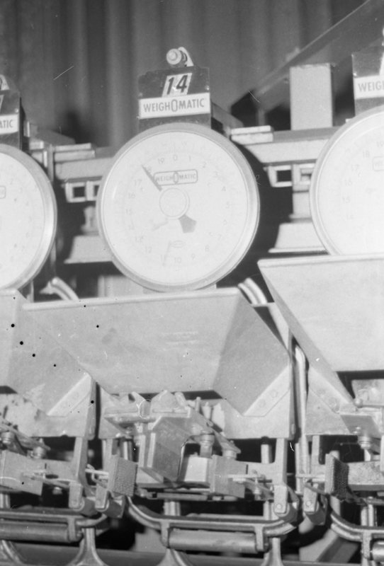 1979 Field Trip, Grande Ronde Commodities Plant 14