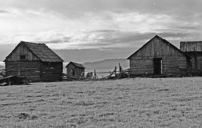 1985 Agriculture, Ranch 01