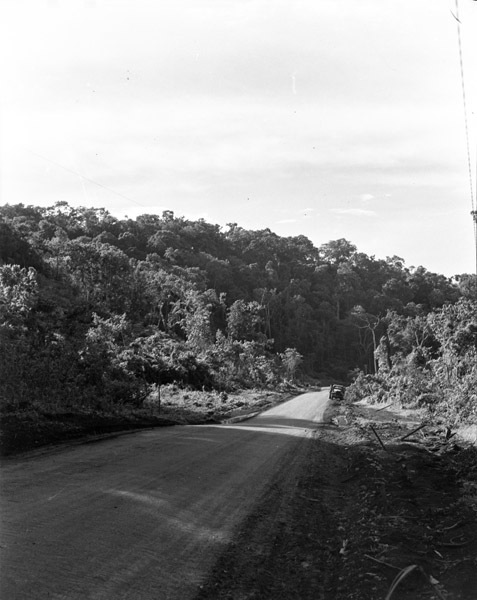 Road through Jungle