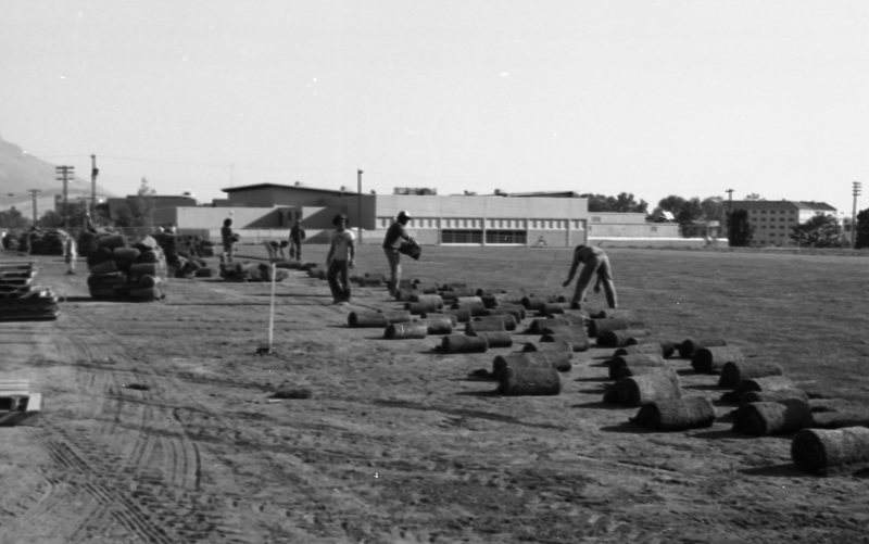 1981 Football Field, New Grass 01