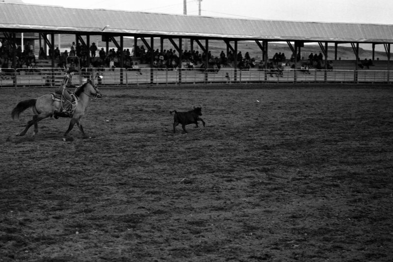 1984 Rodeo Club, Roping 07