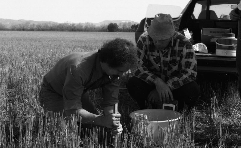 1980 Agriculture Study 03